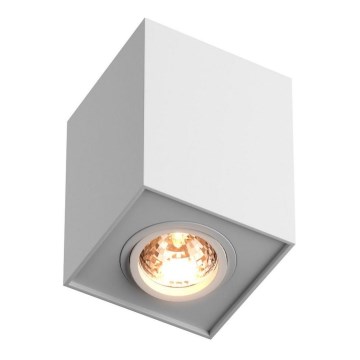 Zuma Line  - Kohdevalo 1xGU10/50W/230V valkoinen