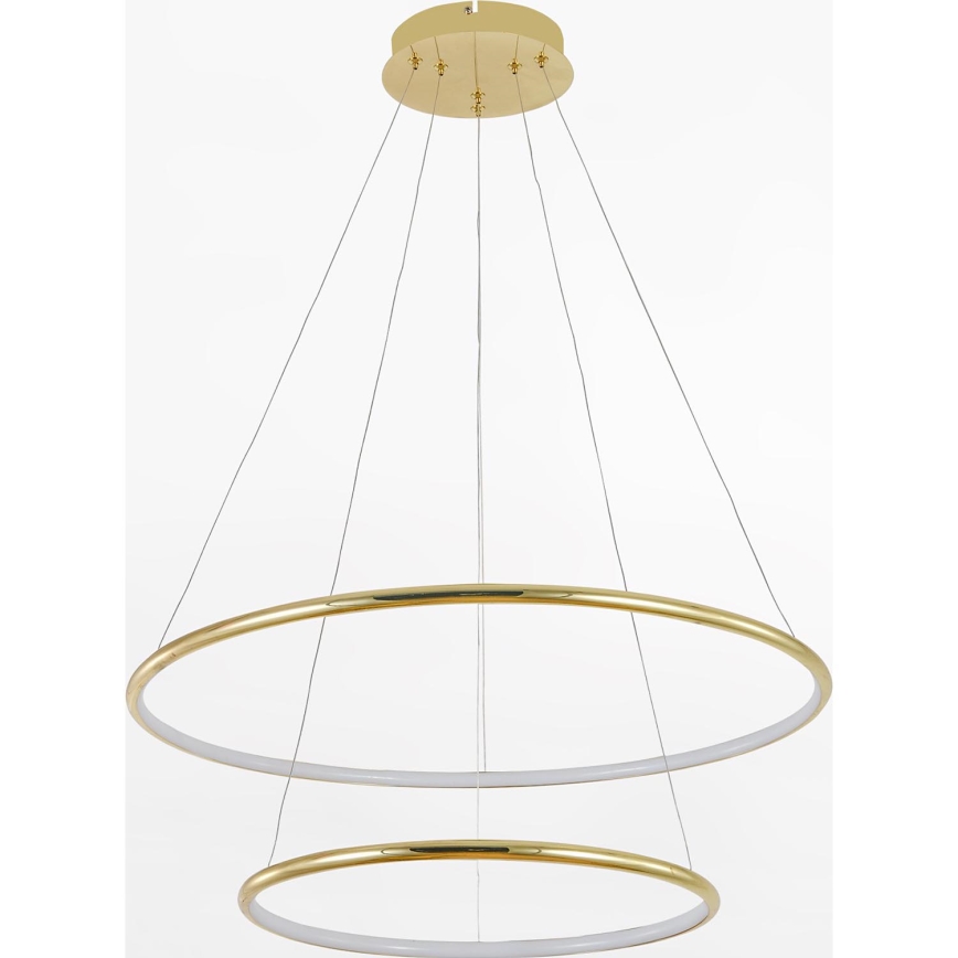Zuma Line - LED-kattokruunu johdossa LED/40W/230V kulta