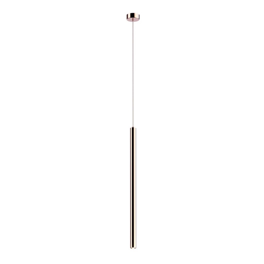 Zuma Line - LED -kattokruunu johdossa LED/5W/230V