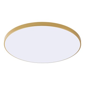 Zuma Line - LED-kattovalaisin VERI LED/44W/230V halkaisija 47 cm, kultainen