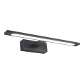 Zuma Line - LED-peilivalon kylpyhuoneeseen LED/12W/230V 41 cm IP44 musta