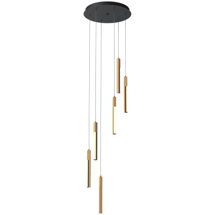 Zuma Line - Himmennettävä LED-kattokruunu johdossa LED/25W/230V