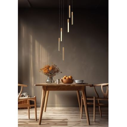 Zuma Line - Himmennettävä LED-kattokruunu johdossa LED/25W/230V