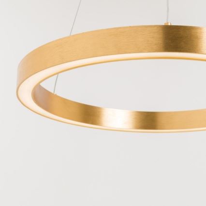 Zuma Line PL200910-400-GD - LED Riippuvalaisin CARLO 1xLED/30W/230V 40 cm kultainen