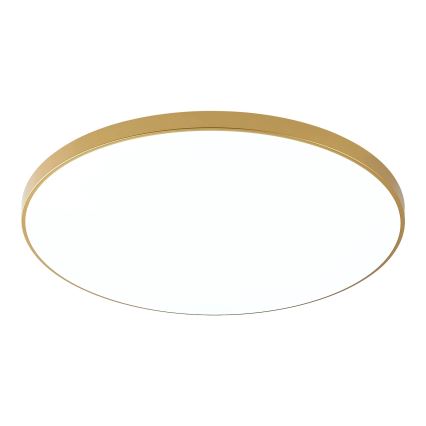 Zuma Line - VERI LED - LED-kattovalaisin 44W/230V, halkaisija 47 cm, kultainen